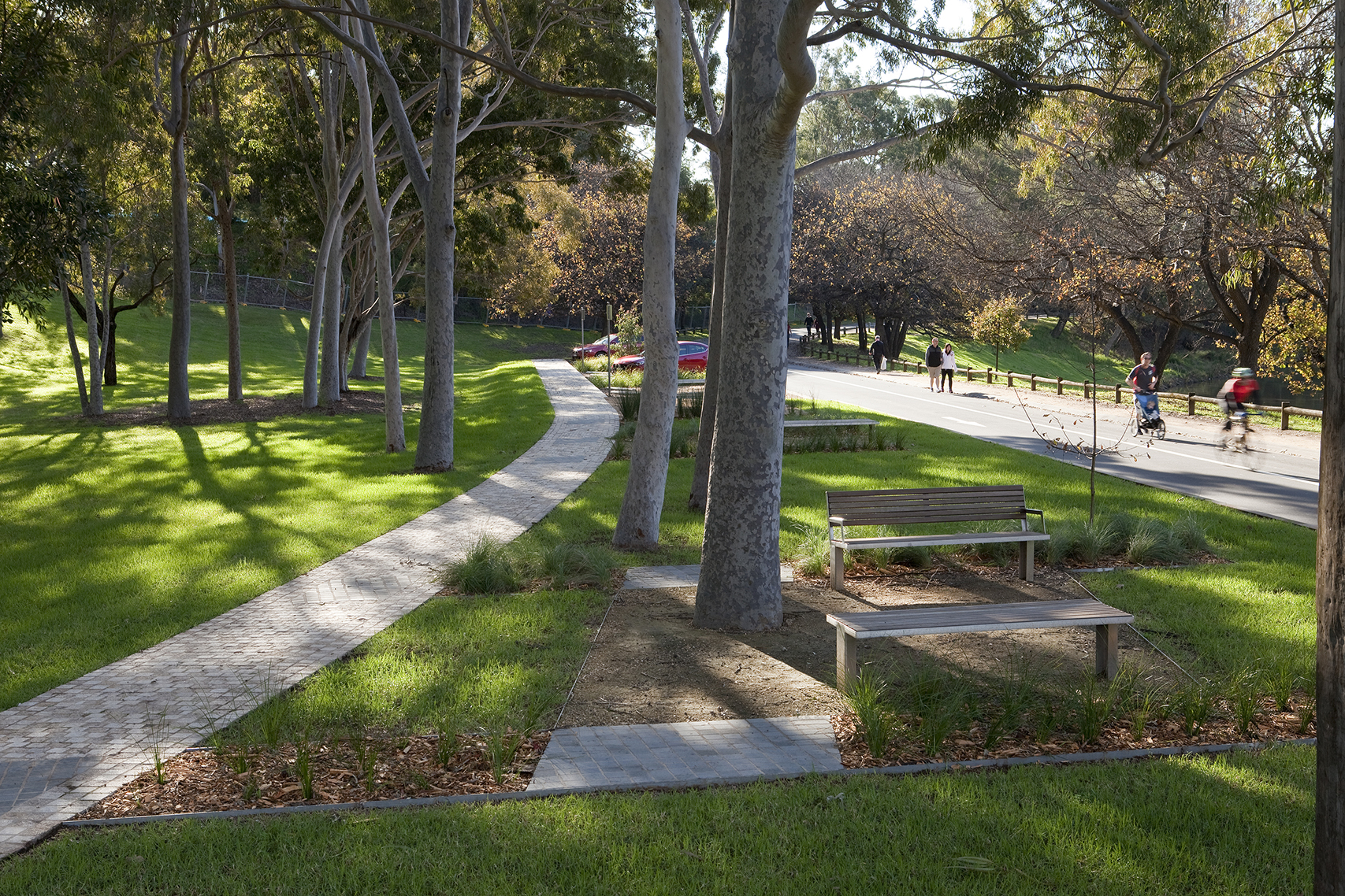 Public Domain, The Crescent, Parramatta Park, walkway, cycle path, park