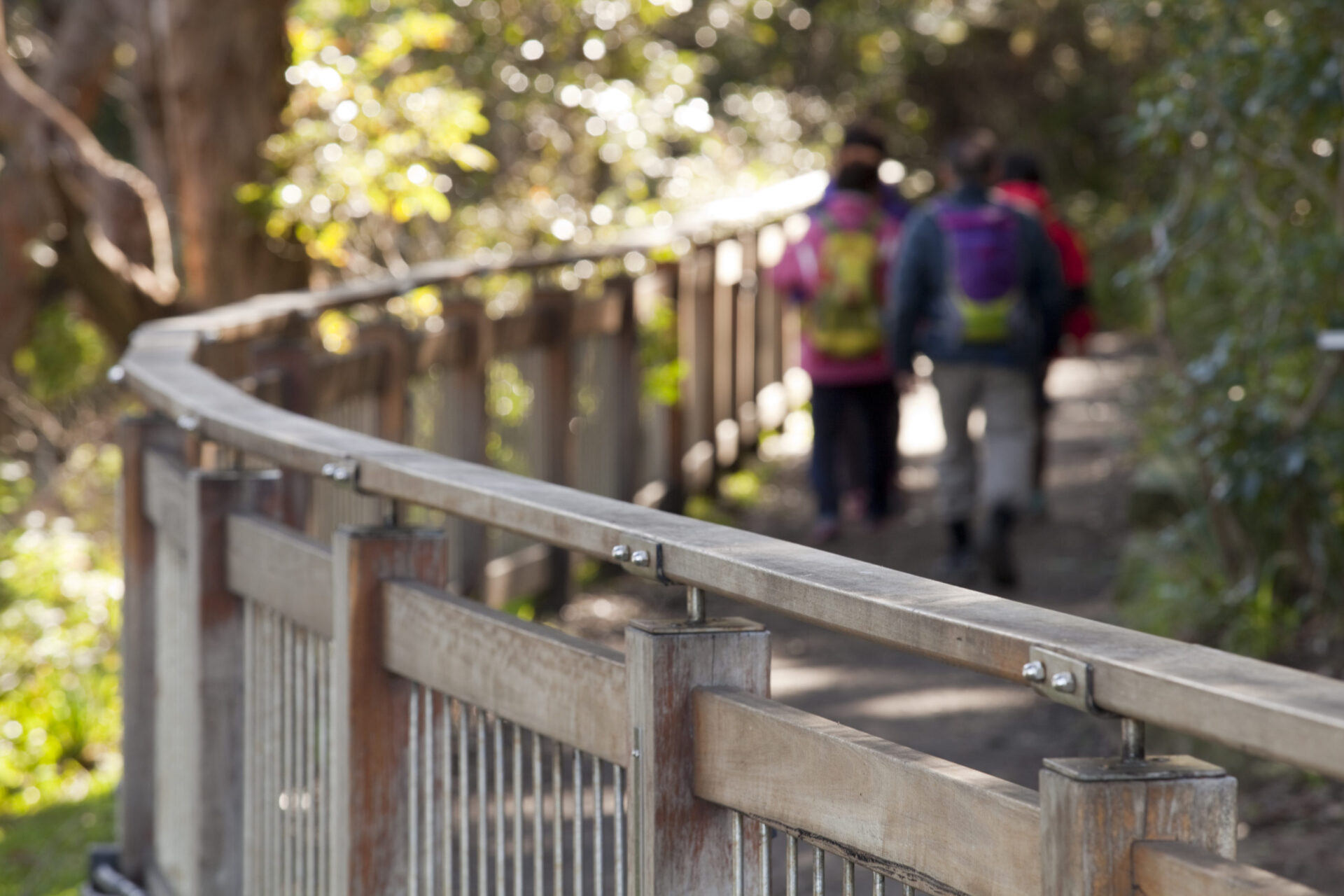 Tourism + Culture, Bradley's Head, balustrade, walkway, Landscape Architecture