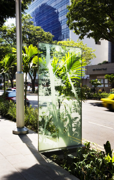 Public Domain, Orchard Road, trees, planting, streetscape, screen