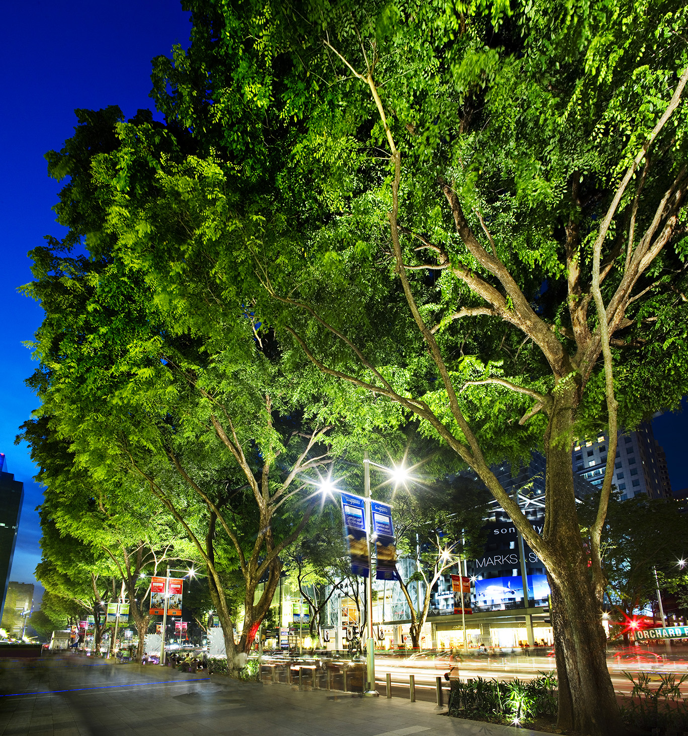 Public Domain, Orchard Road, streetscape, trees, planting