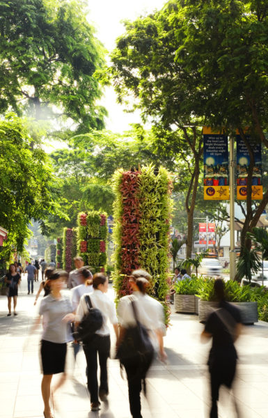 Public Domain, Orchard Road, streetscape, path, people, trees, planting