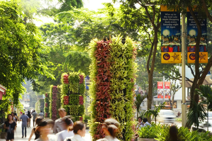 Public Domain, Orchard Road, streetscape, path, people, trees, planting