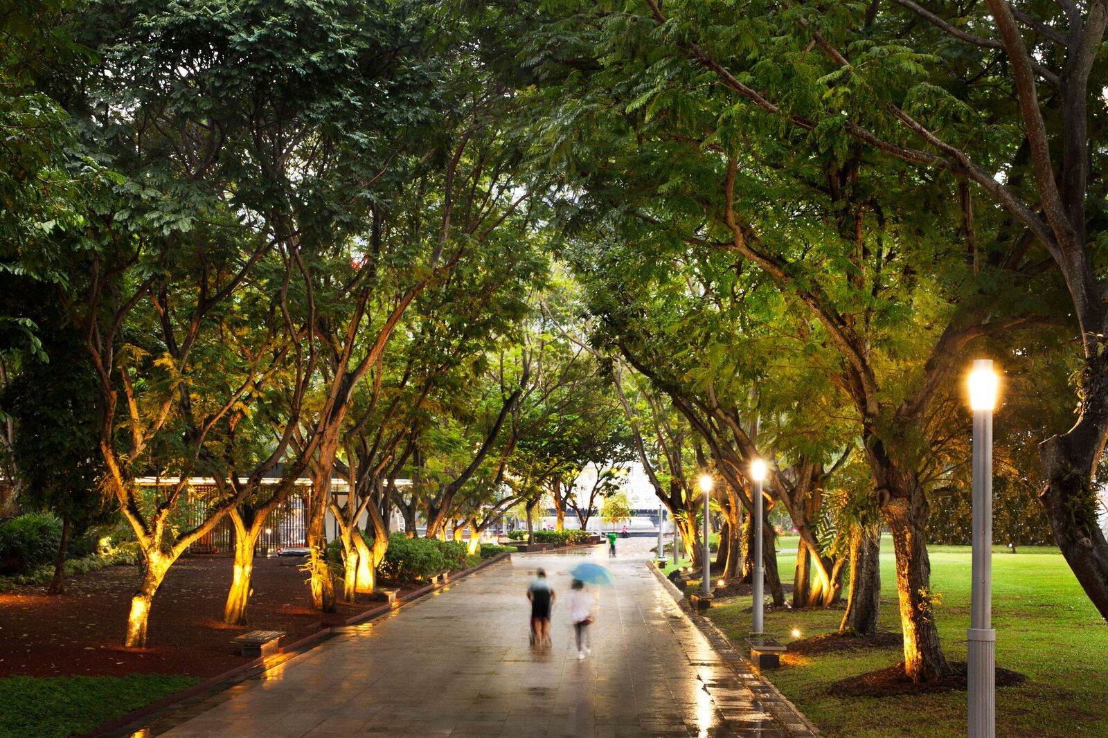 Public Domain, Empress Place + Esplanade Park, Singapore, path, trees, canopy, lighting