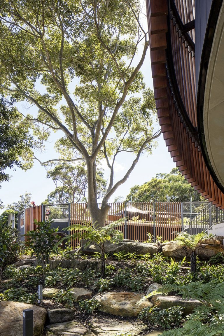 Tourism + Culture, Centenary Theatre Taronga Zoo, landscape