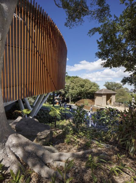 Tourism + Culture, Centenary Theatre Taronga Zoo, landscape