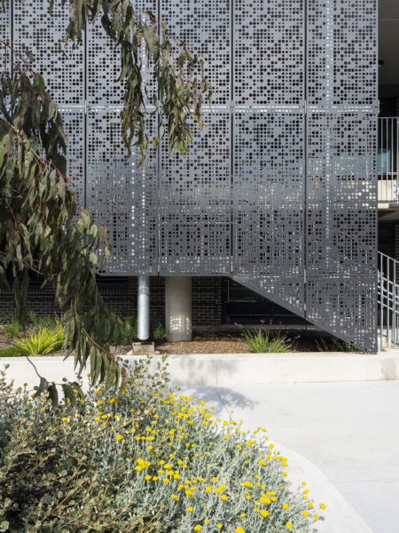 Education, Bardia Public School, garden bed, flowers, Landscape Architecture