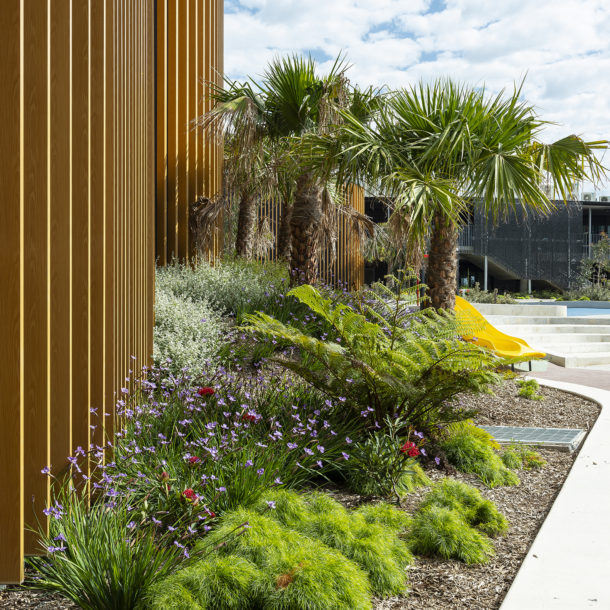 Education, Bardia Public School, garden bed, plants, flowers, Landscape Architecture