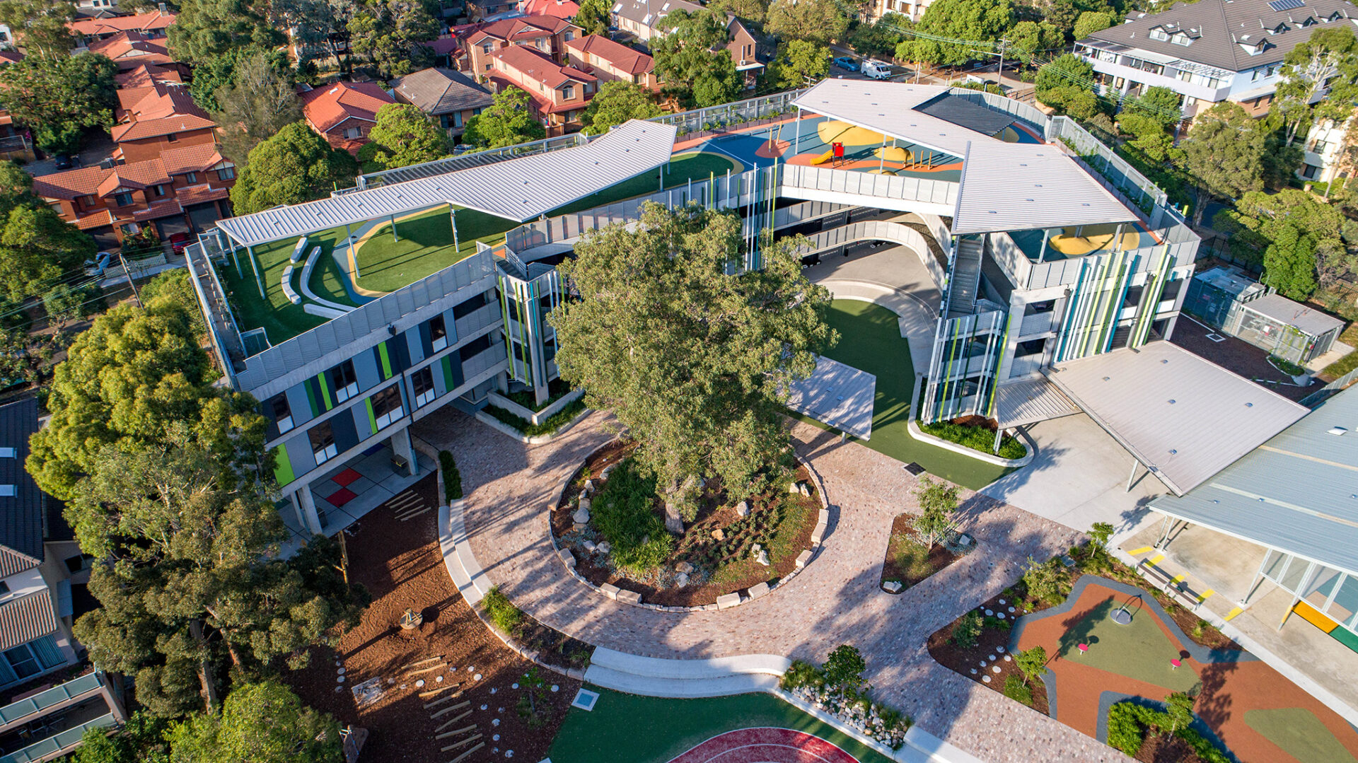 Education, Homebush West Public School, trees, planting, path, play area