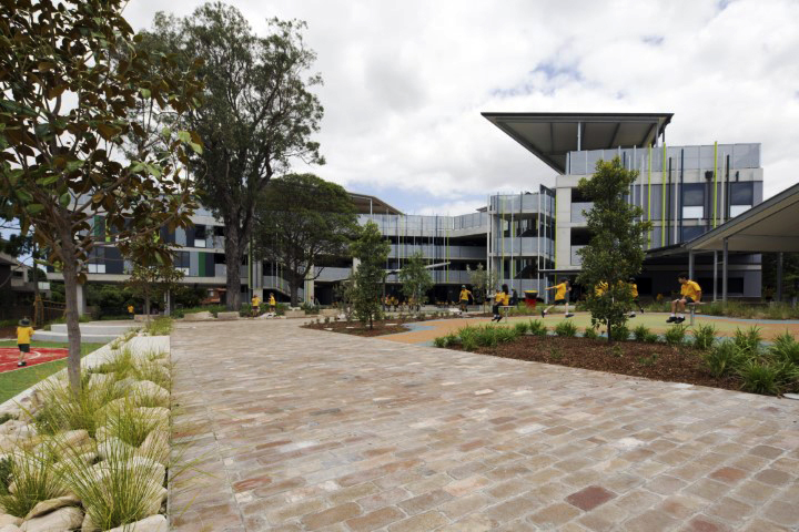 Education, Homebush West Public School, path, planting, trees