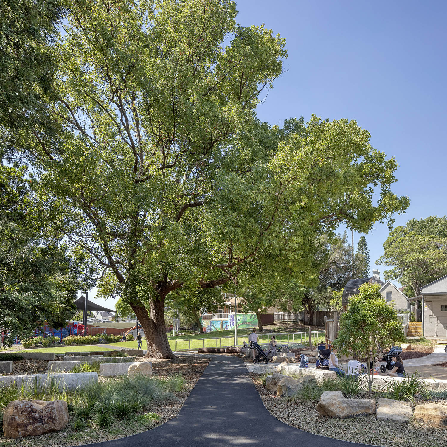 Parks + Open Space, Darrell Jackson Gardens, Landscape Architecture, park