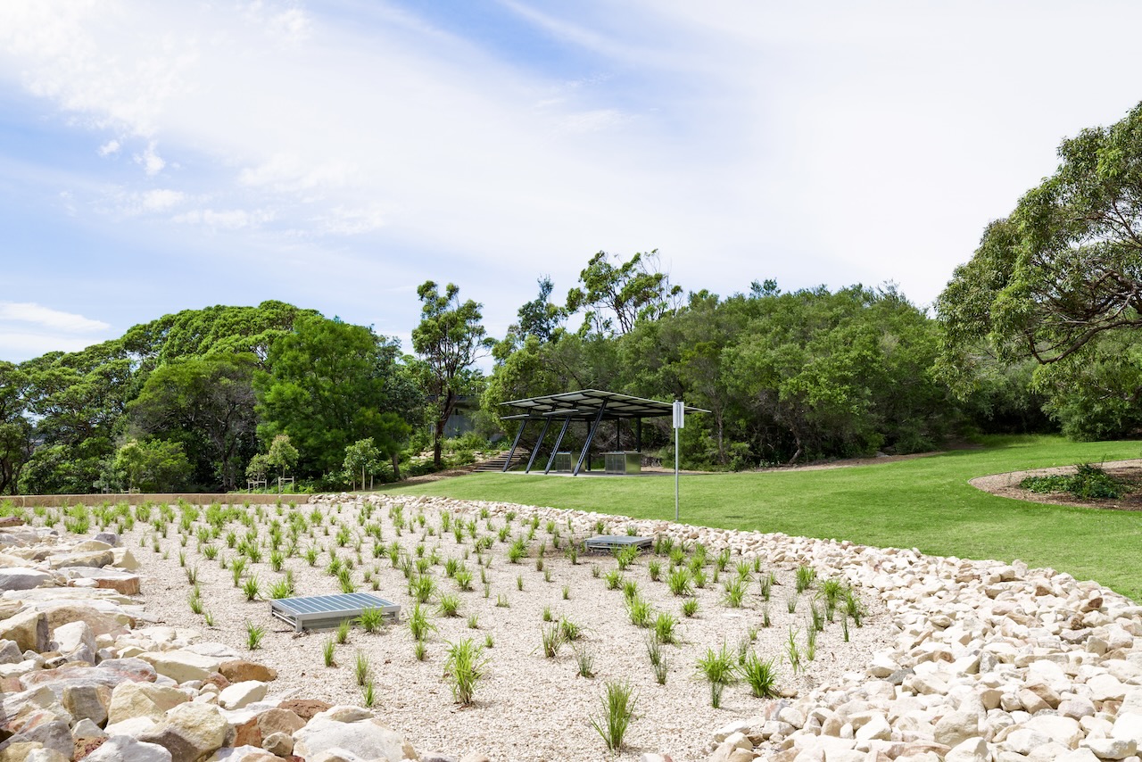 Parks + Open Space, Wattamolla Royal National Park, planting