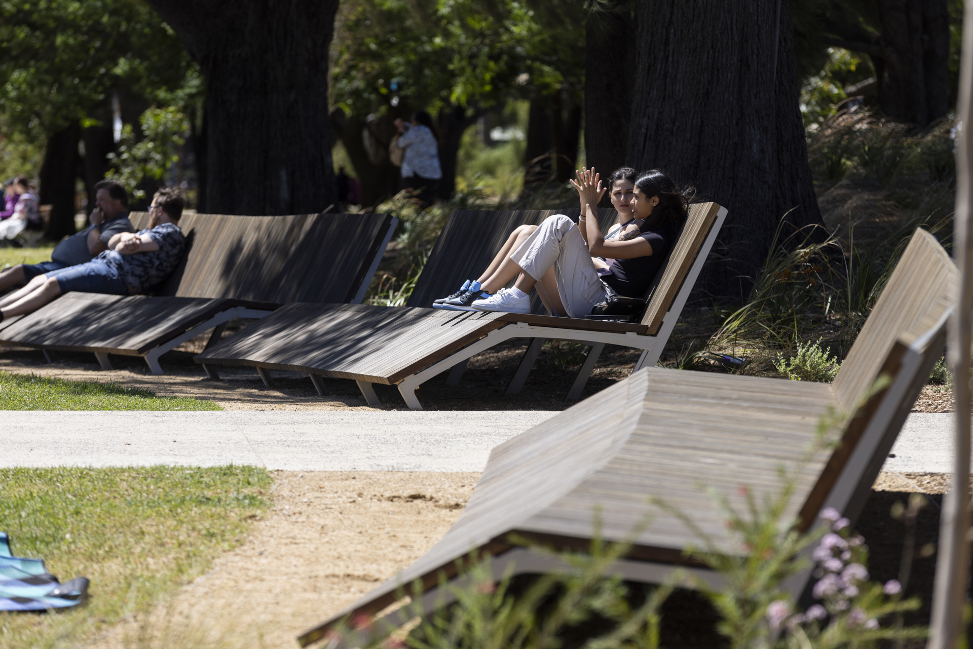 Public Domain, Parks + open space, Tench Reserve, Landscape Architecture, deckchairs